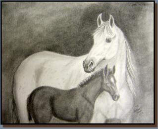 Graphite drawing of a white mare and a dark foal.