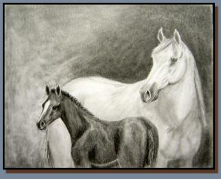 Graphite drawing of a white mare and a dark foal.