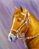 Acrylic Painting of a Peruvian gelding named Avatar Joven SRR