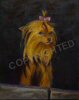 "Abigail", a Genesis oil painting of a Yorkshire Terrier