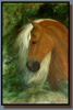 "Apollo's Profile", an acrylic painting of a Peruvian Paso horse