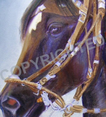 Detail of oil painting of a Peruvian Paso mare named Essie