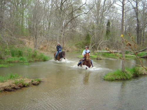 Sportsmans Lake Equestrian Riding Trails water crossing