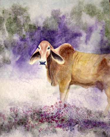 Watercolor painting of a brahma cow