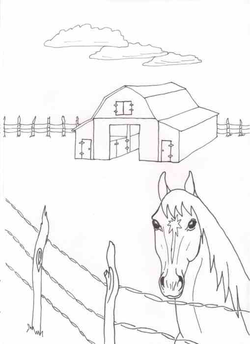 Page 14 from Coloring Book of Horses