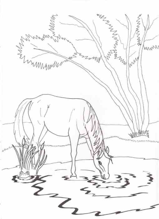 Page 23 from Coloring Book of Horses