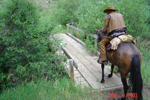 2003 Pecos Wilderness, NM trail riding on our Peruvians, bridge crossing