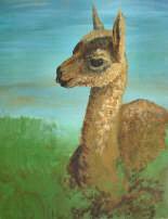 Acrylic painting, a portrait of a baby llama.