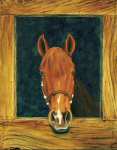 Acrylic painting of a Peruvian Paso named Rayo.