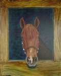 Acrylic painting of a Peruvian Paso named Rayo.